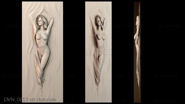 Дверные накладки DVN_0813