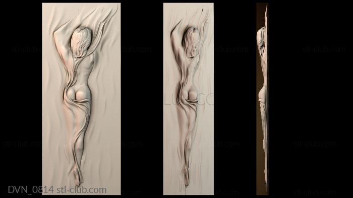 Дверные накладки DVN_0814