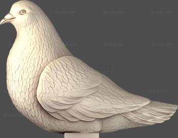 3D мадэль Сидящий голубь (STL)