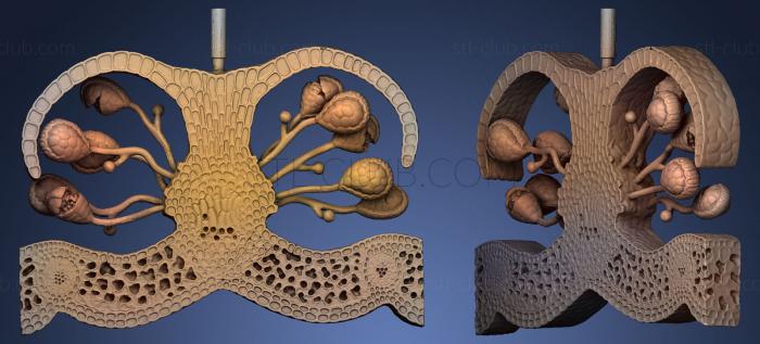 3D модель Сечин дель синанджио де ун хелечо (STL)