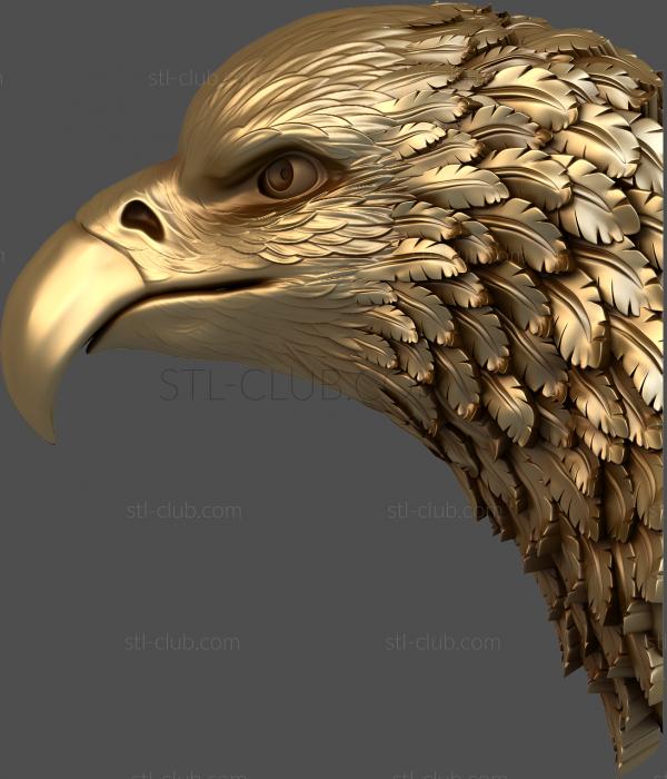 Eagle's head