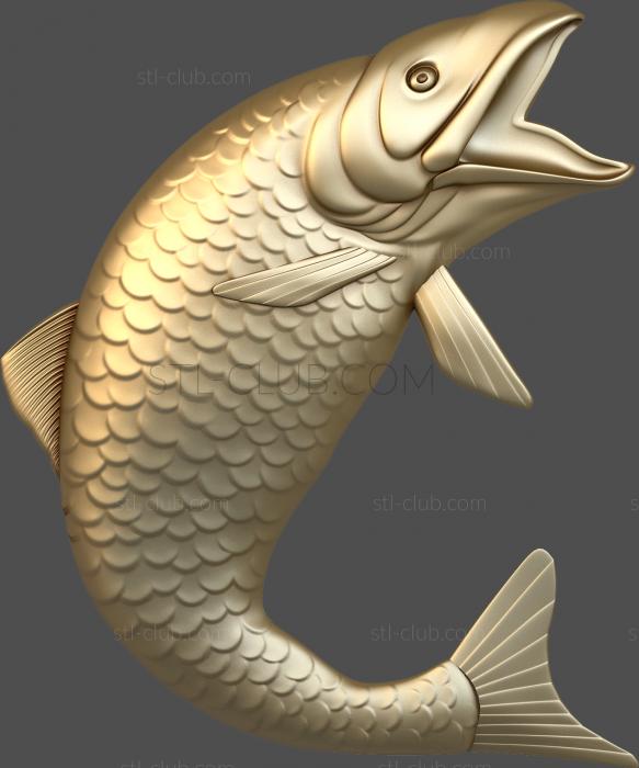 3D model Carp (STL)