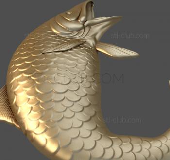 3D model Carp (STL)