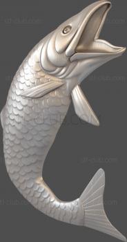 3D model Carp (STL)