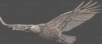 3D model Soaring eagle (STL)