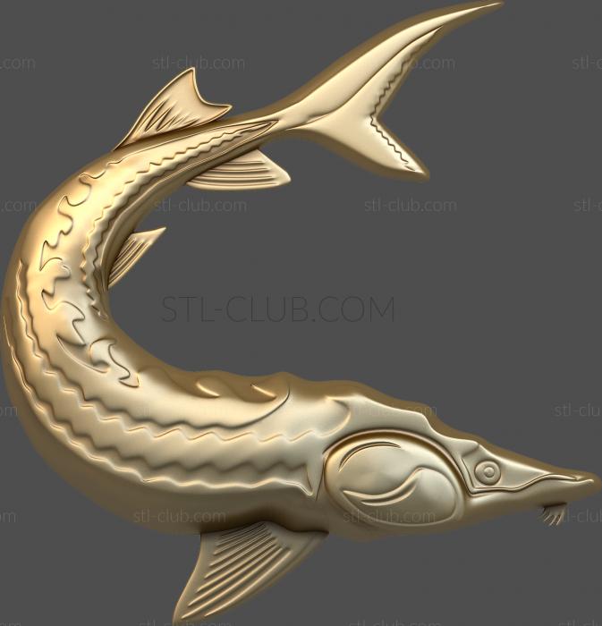 3D model Sturgeon (STL)