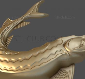 3D model Sturgeon (STL)