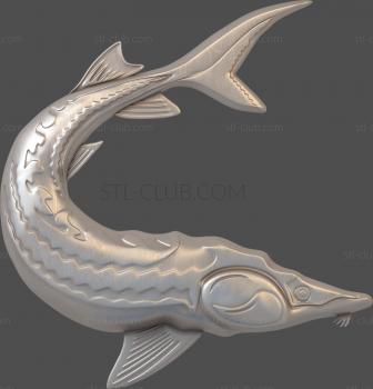 3D model Sturgeon (STL)