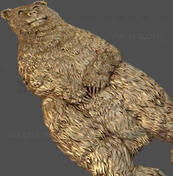 3D model Bear on its hind legs (STL)