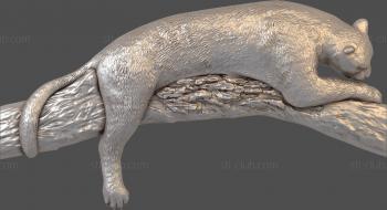 3D model Sleeping leopard (STL)