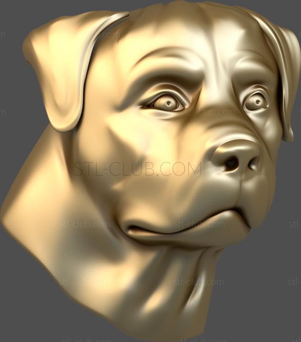 3D model Rottweller's face (STL)