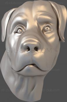 3D model Rottweller's face (STL)