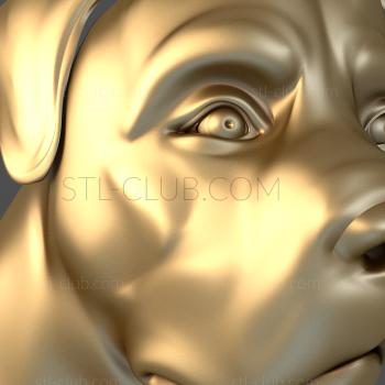 3D model Rottweller's face (STL)