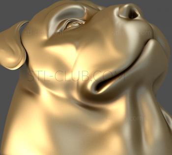 3D model Rottweller's face (STL)