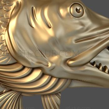 3D model Pike's head (STL)