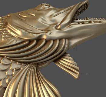 3D model Pike's head (STL)