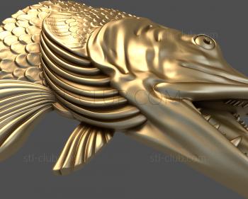 3D model Pike's head (STL)