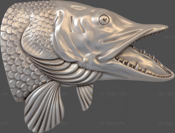 3D model Pike's head (STL)