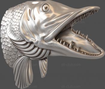 3D model Pike's head (STL)