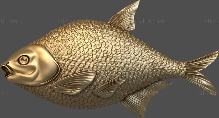 3D model Bream (STL)