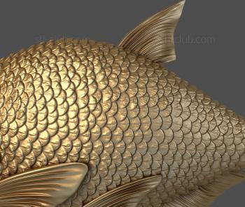 3D model Bream (STL)