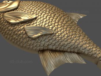 3D model Bream (STL)