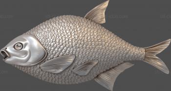 3D model Bream (STL)