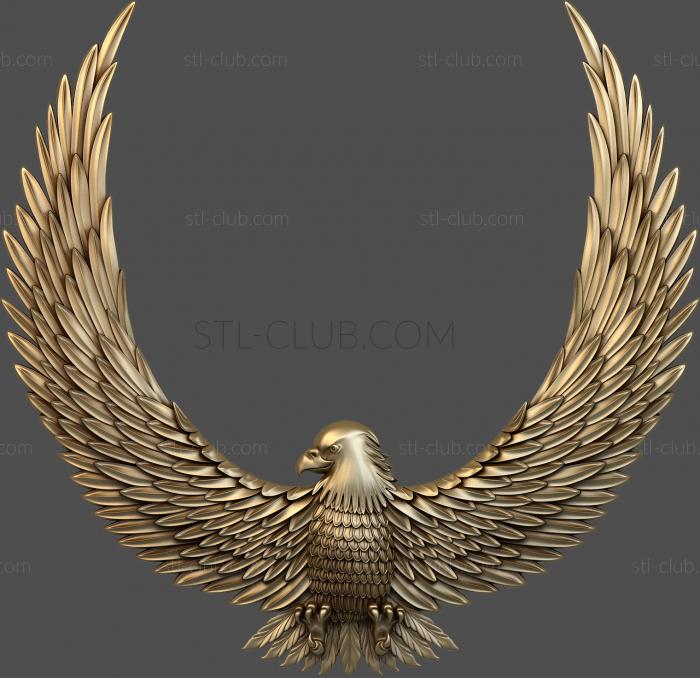 Eagle with raised wings