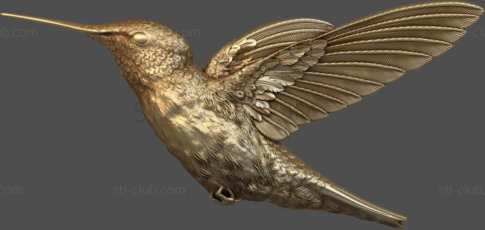 3D model Flying hummingbird (STL)