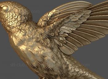 3D model Flying hummingbird (STL)