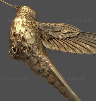 3D model Flying hummingbird (STL)