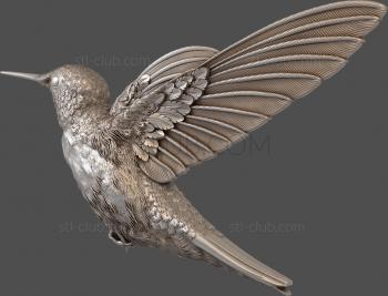 3D model Flying hummingbird (STL)