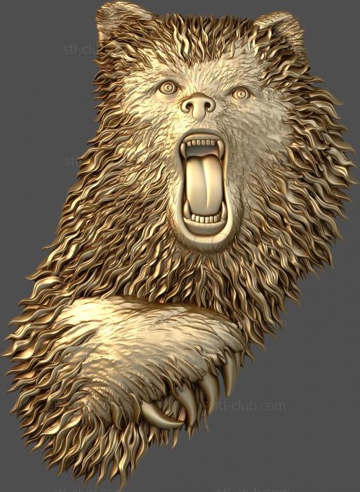 A snarling bear