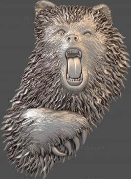 3D model A snarling bear (STL)