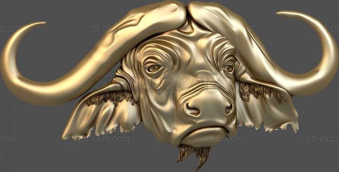 3D model Buffalo head (STL)