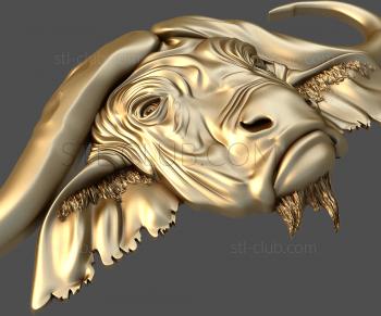 3D model Buffalo head (STL)