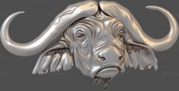 3D model Buffalo head (STL)