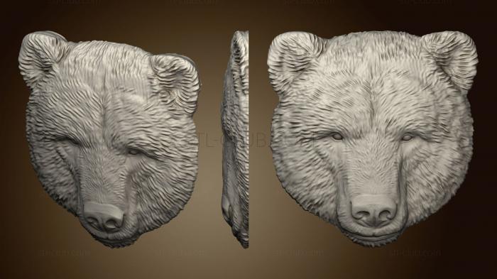 Bear variant2