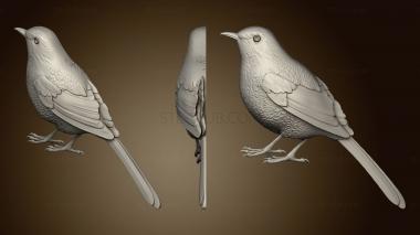 3D model Birdie (STL)