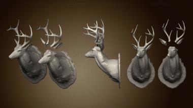 3D model Deer head (STL)