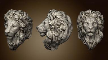 3D model Volume face of a lion 3DANL 70578 (STL)