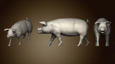 3D model Little pig var6 (STL)