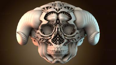 3D модель JVLR_1258 (STL)