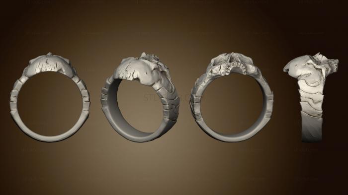 Ювелирные перстни и кольца Бутафорское кольцо Некроманта