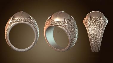 3D модель JVLRP_1173 (STL)