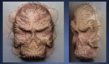 3D model skull climbs out of the plane (STL)