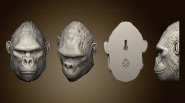 3D model monkeys morillasfelipe 01 (STL)