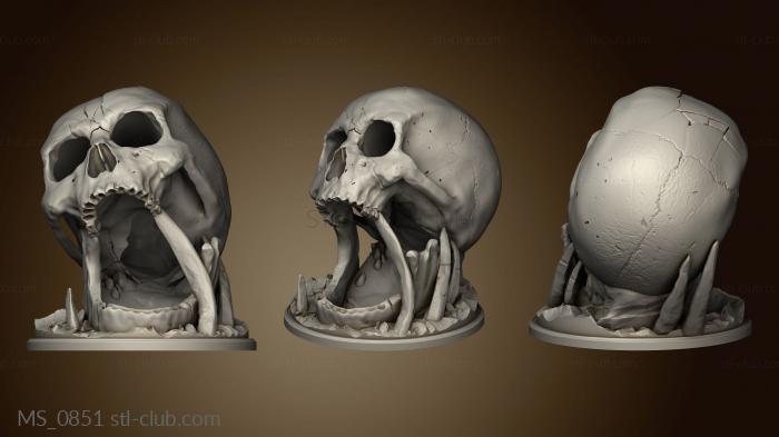 3D model Deserts Spider (STL)