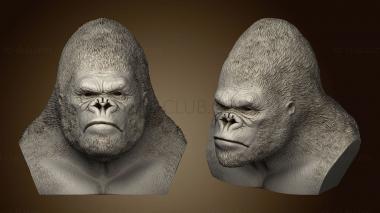 3D model King kong (STL)