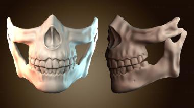 3D модель MS_1261 (STL)